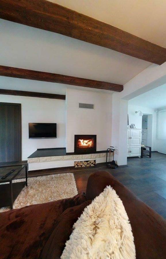 Spacious Apartment "Ana" On Lake Sabljaci Ogulin Exteriör bild